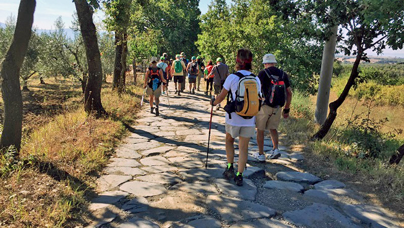 Pellegrini lungo la Via Francigena