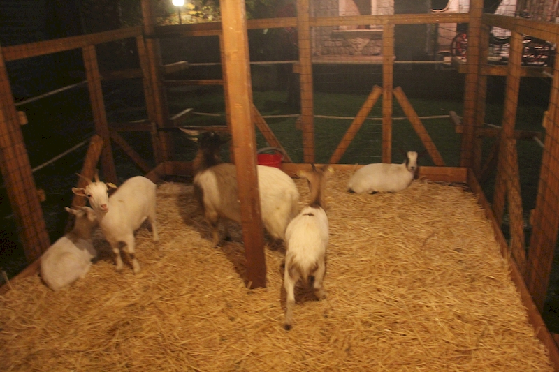 Caffeina Christamas Village 2017