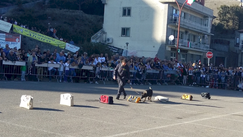 Giornata Tricolore Montefiascone