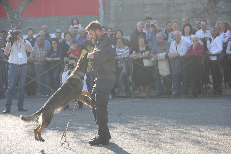 Giornata Tricolore Montefiascone