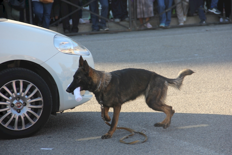 Giornata Tricolore Montefiascone