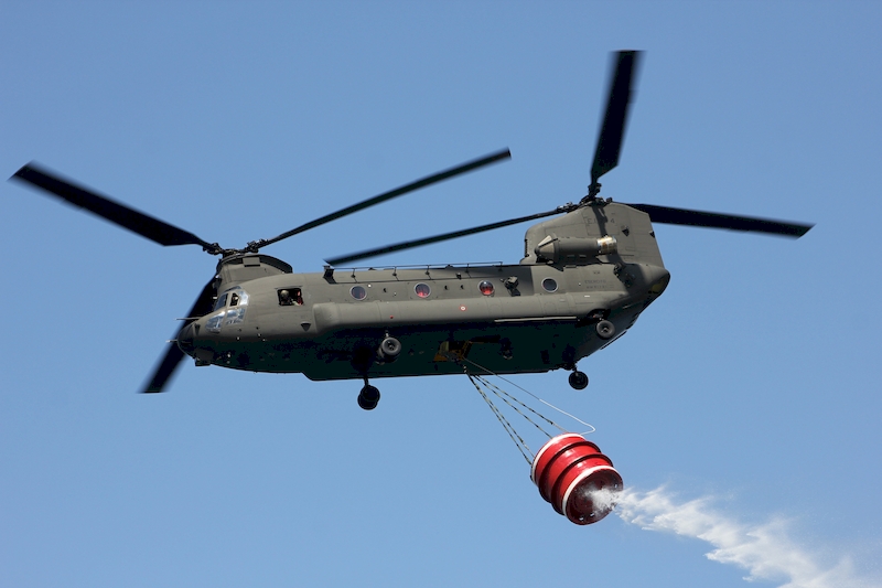 Le esibizioni dal lungolago