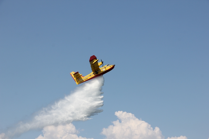 Le esibizioni dal lungolago