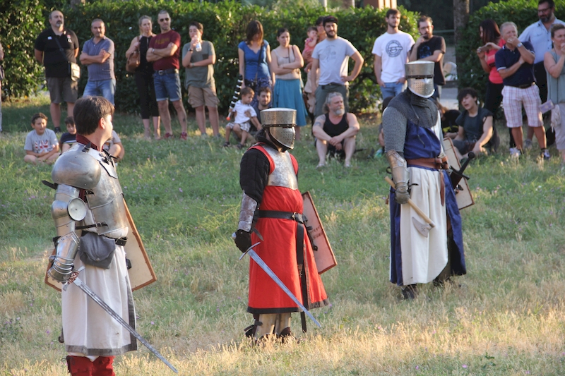 Ludika11243 - La battaglia campale a Valle Faul