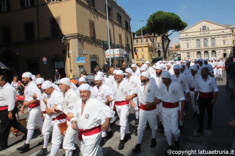Giro delle sette chiese - Facchini di Santa Rosa