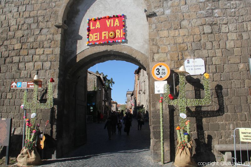 La Quercia in fiore e La via dei Fiori a Pianoscarano