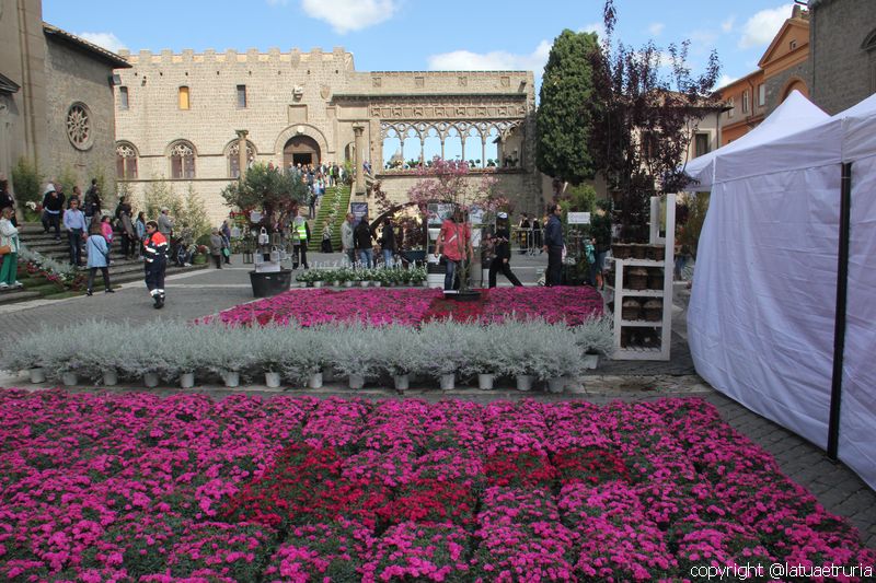 San Pellegrino in fiore - Inaugurazione