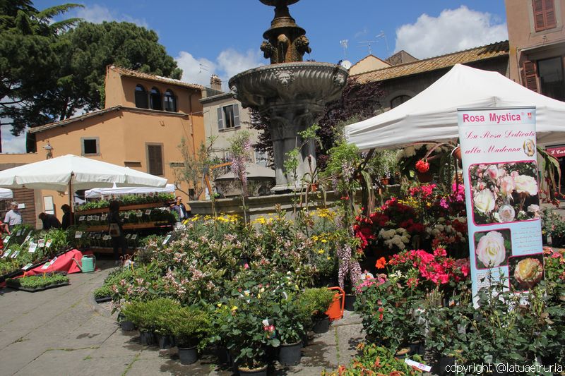 San Pellegrino in fiore - Inaugurazione