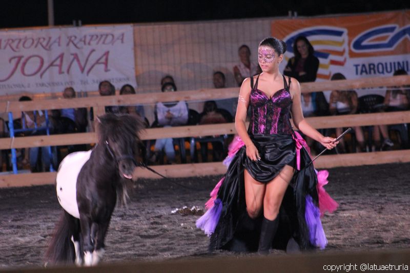 Servo pure io - Tarquinia Horse Show