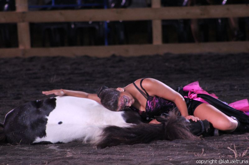 Servo pure io - Tarquinia Horse Show