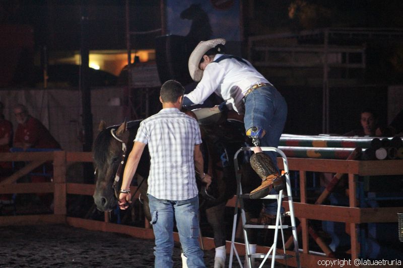 Servo pure io - Tarquinia Horse Show