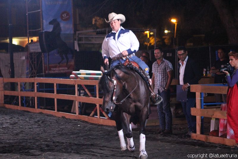 Servo pure io - Tarquinia Horse Show