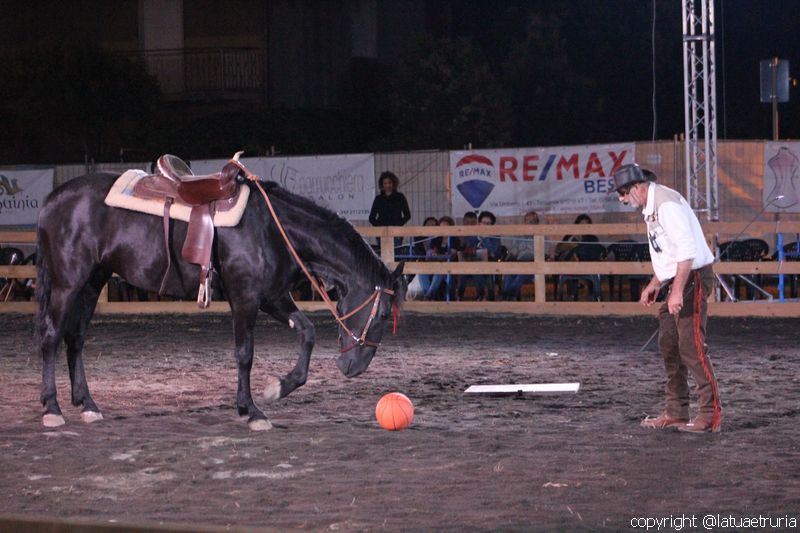 Servo pure io - Tarquinia Horse Show