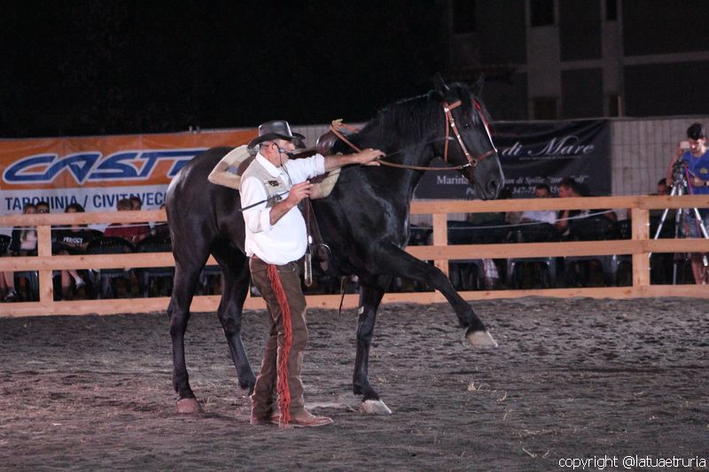 Servo pure io - Tarquinia Horse Show