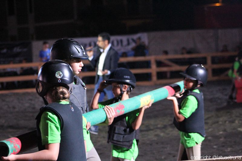 Servo pure io - Tarquinia Horse Show