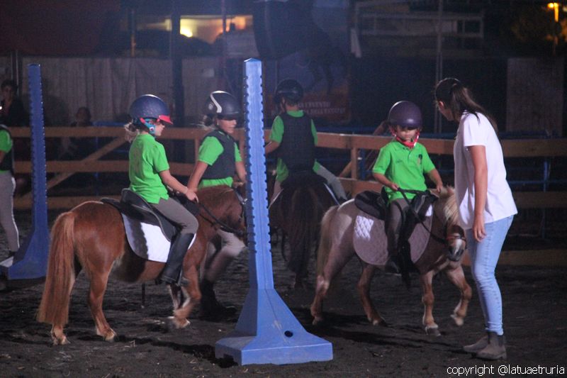 Servo pure io - Tarquinia Horse Show