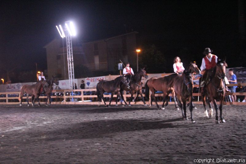 Servo pure io - Tarquinia Horse Show
