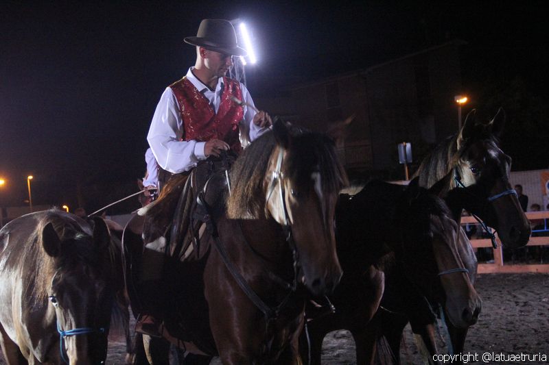 Servo pure io - Tarquinia Horse Show