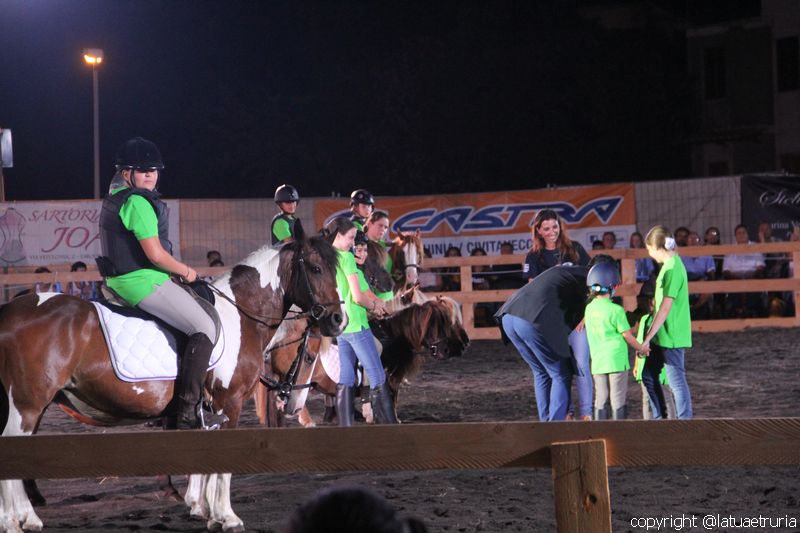 Servo pure io - Tarquinia Horse Show