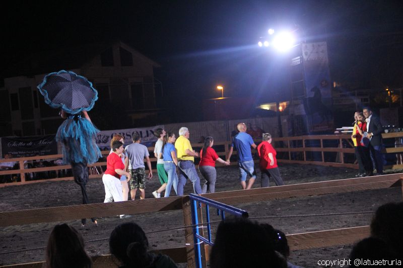 Servo pure io - Tarquinia Horse Show