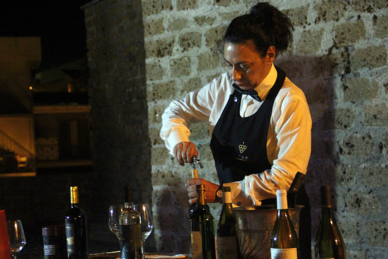 Nelle Terre del Grechetto