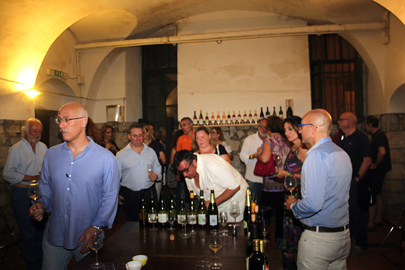 Nelle Terre del Grechetto