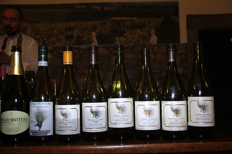 Nelle Terre del Grechetto