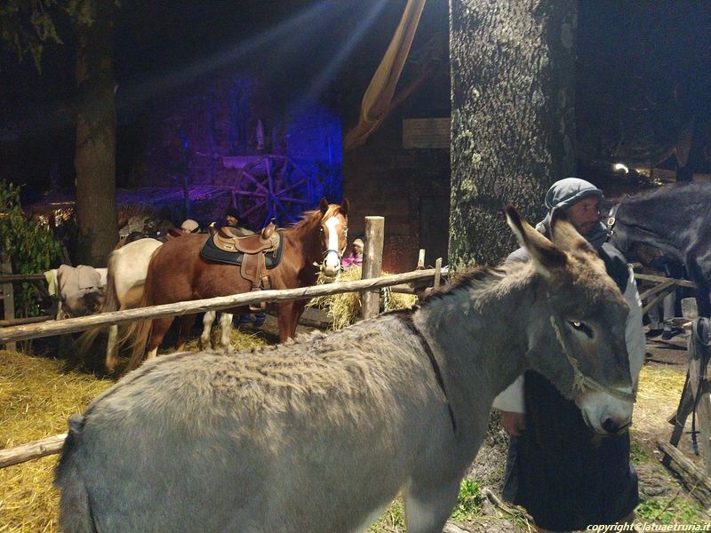 Presepe vivente Montefiascone