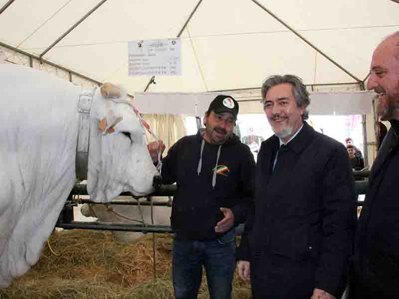 Folto pubblico già dal mattino, al taglio del nastro Tesei, Battistoni, sindaci e assessori