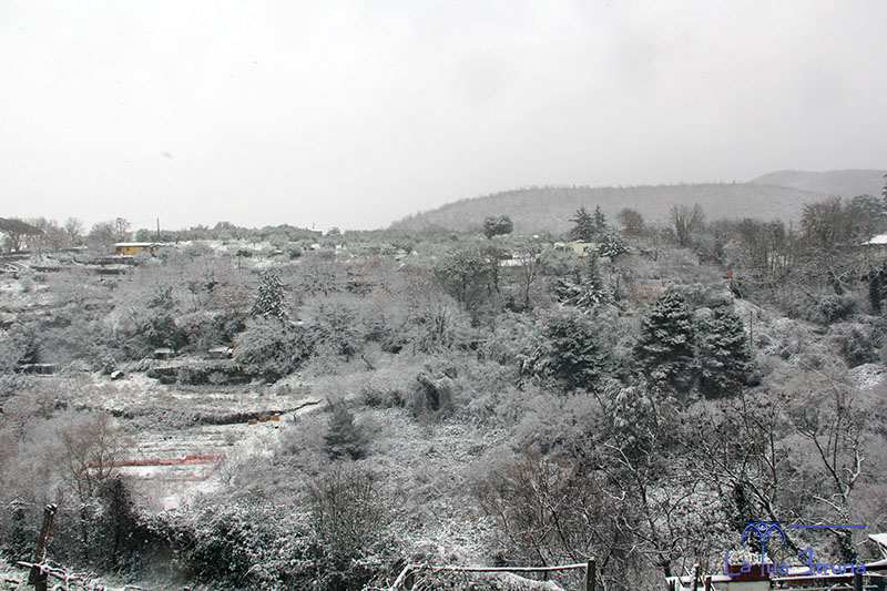 Nevicata 13 febbraio 2021