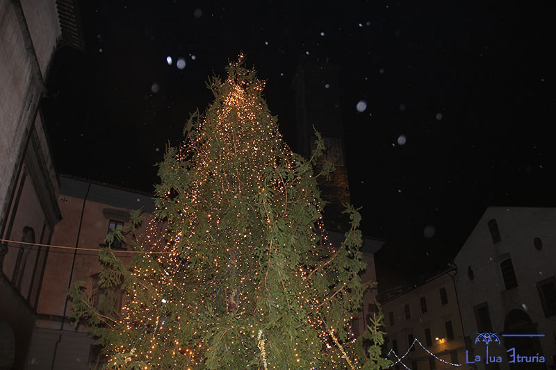 Accensione albero e luci in città - Viterbo città del Natale