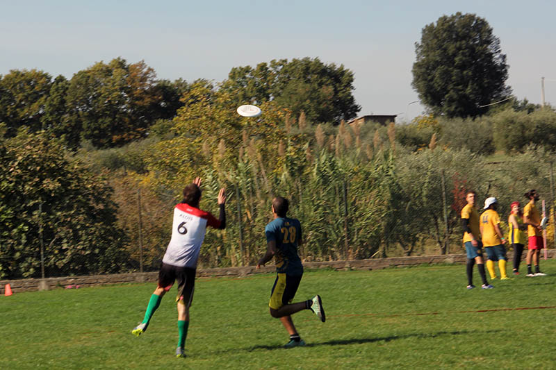 Torneo Ultimate Frisbee