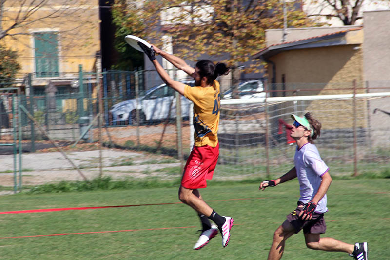 Torneo Ultimate Frisbee