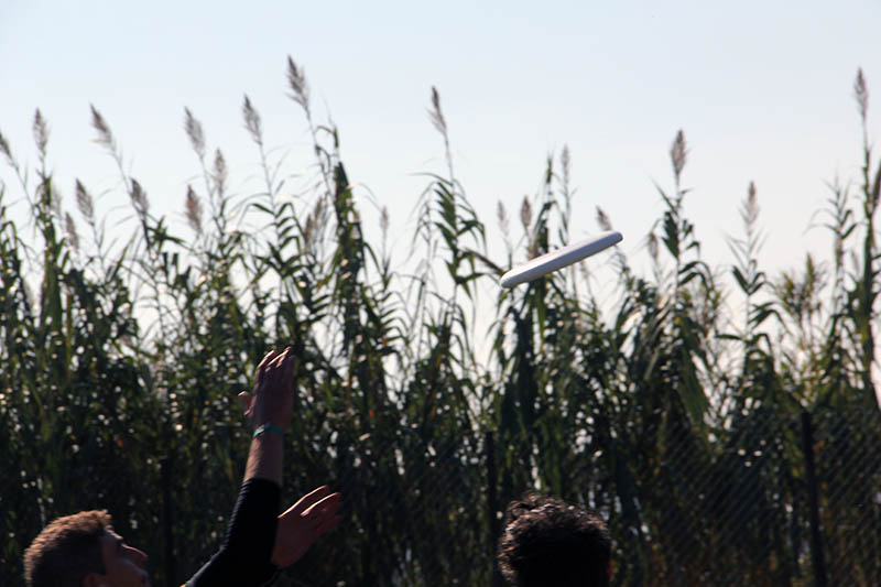 Torneo Ultimate Frisbee