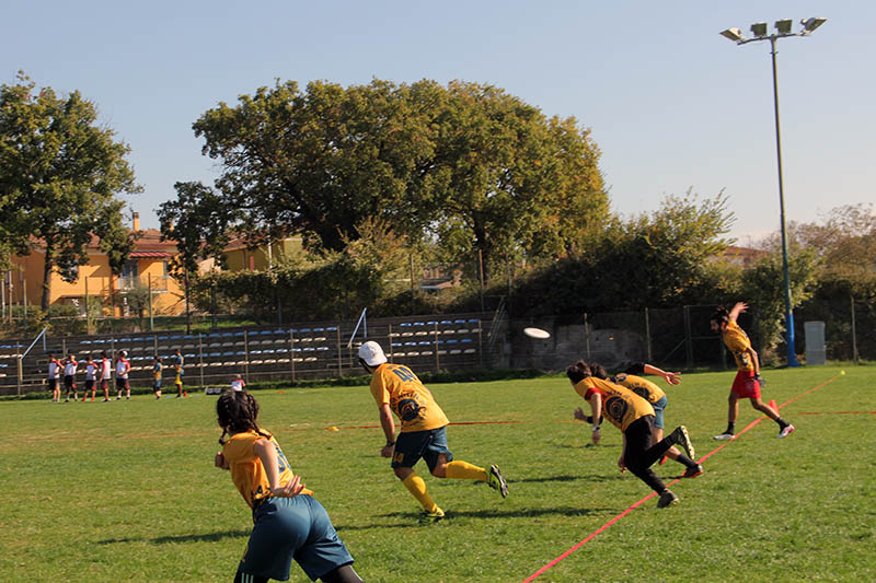 Torneo Ultimate Frisbee