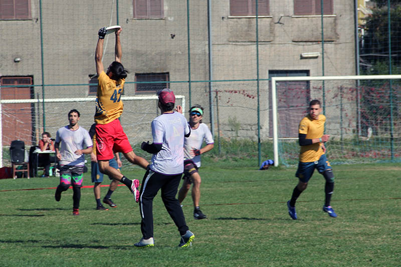 Torneo Ultimate Frisbee