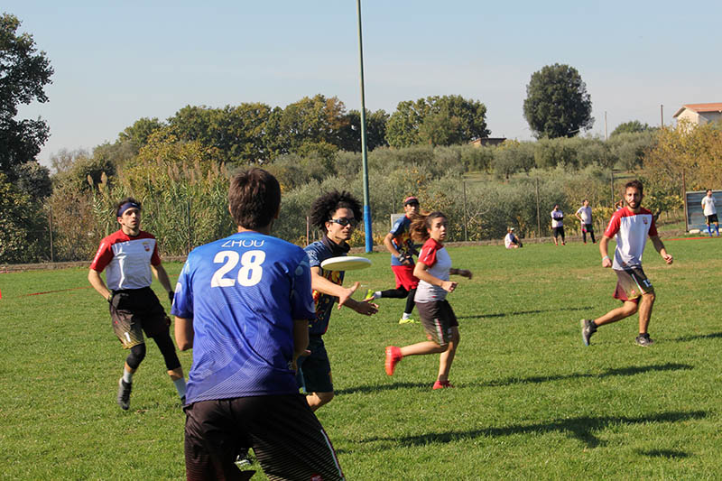 Torneo Ultimate Frisbee