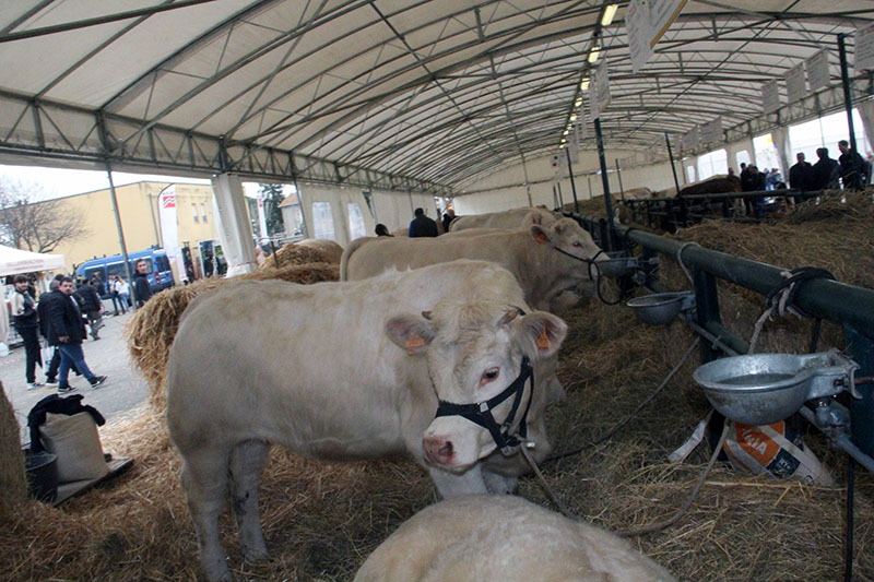 Inaugurazione AgriUmbria 2023