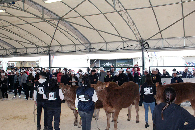 Inaugurazione AgriUmbria 2023