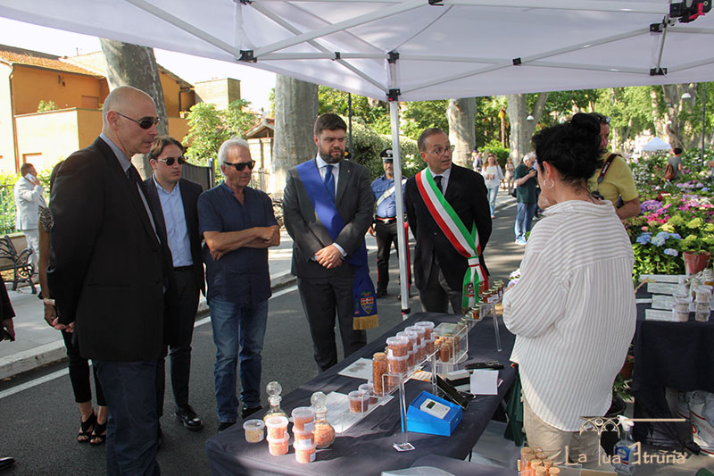 Festa delle Ortensie 2023 - Bolsena