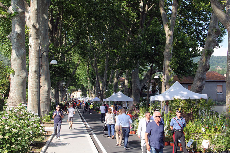 Festa delle Ortensie 2023 - Bolsena