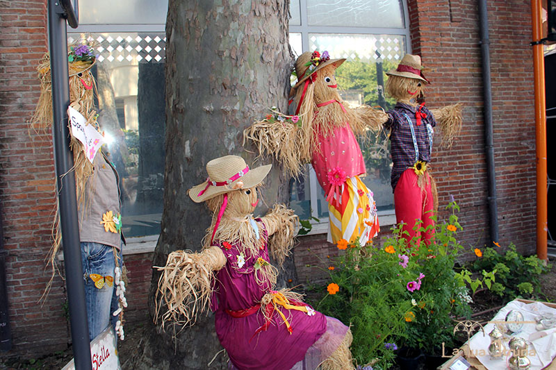 Festa delle Ortensie 2023 - Bolsena