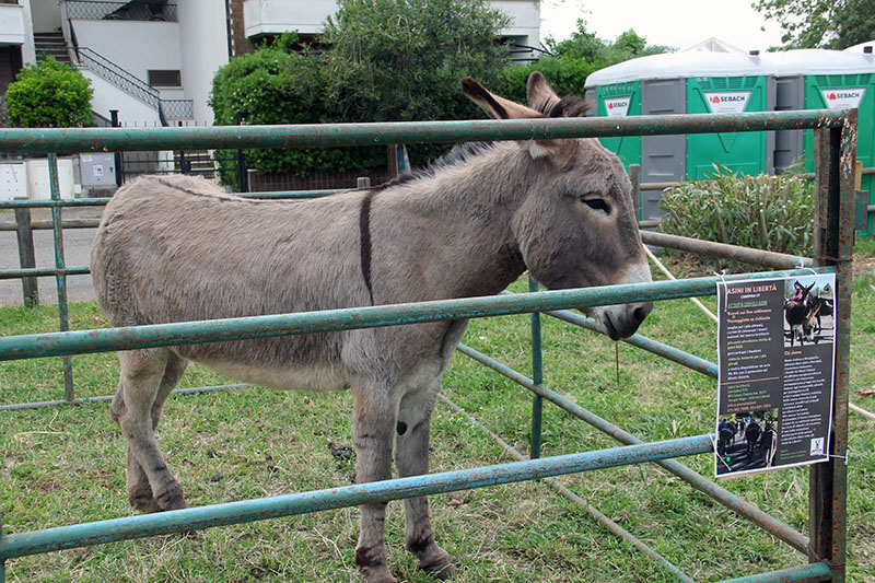 Fiera Tarquinia 2023 - Mo.Me.M.A. Mostra mercato macchine agricole
