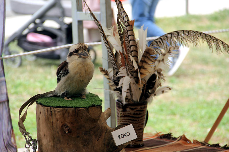Fiera Tarquinia 2023 - Mo.Me.M.A. Mostra mercato macchine agricole