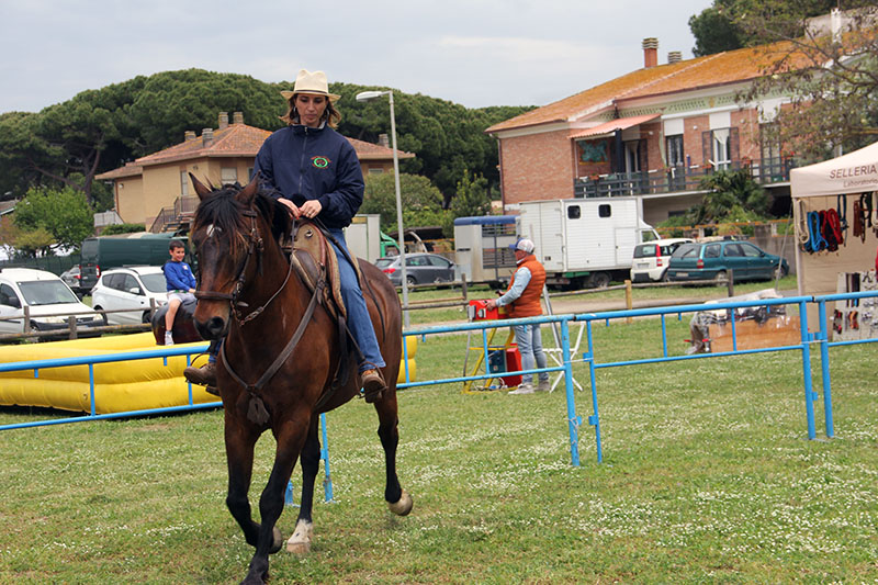 Fiera Tarquinia 2023 - Mo.Me.M.A. Mostra mercato macchine agricole