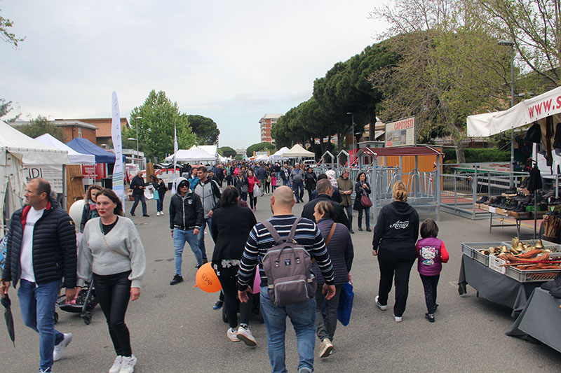 Fiera Tarquinia 2023 - Mo.Me.M.A. Mostra mercato macchine agricole