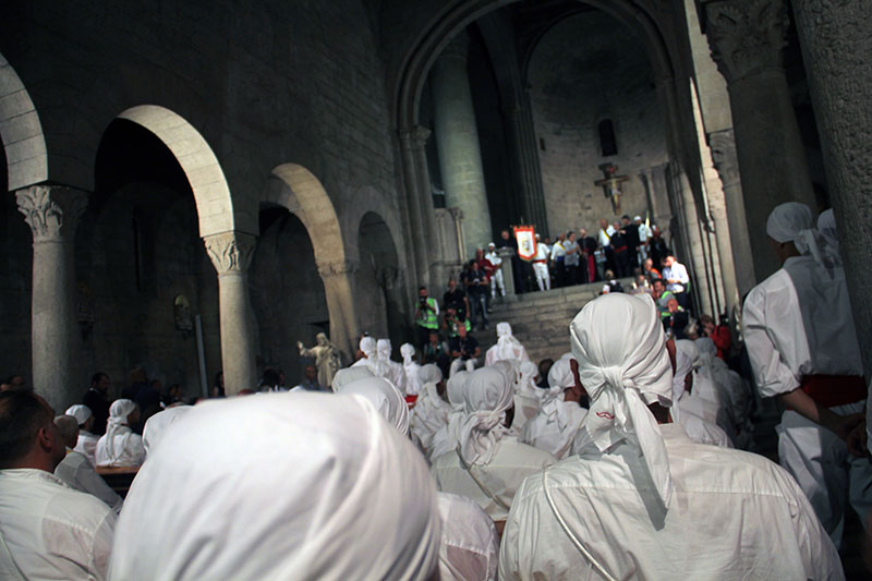 Trasporto Macchina di Santa Rosa 2023 