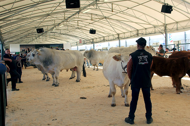 Agriumbria 2024 - UmbriaFiere