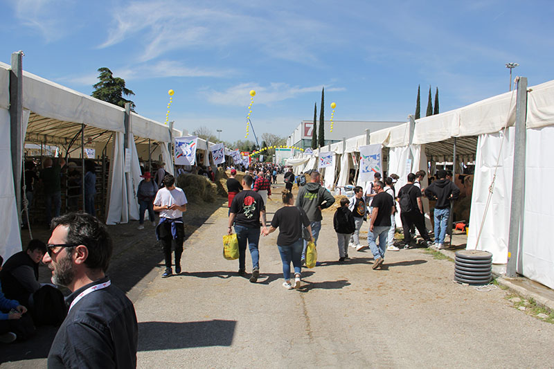 Agriumbria 2024 - UmbriaFiere