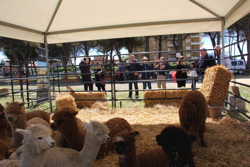 Mo.Me.Ma - Fiera Tarquinia 2024